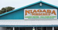 Niagara Nurseries photo 2